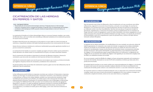 J.I. Gutiérrez. Heridas traumáticas.