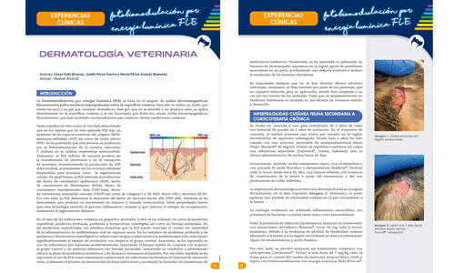 C. Yotti , J. Pérez & M. Pérez-Aranda.  Hiperfragiliad cutánea.