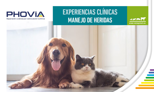Manejo de heridas, recopilación (11 casos)