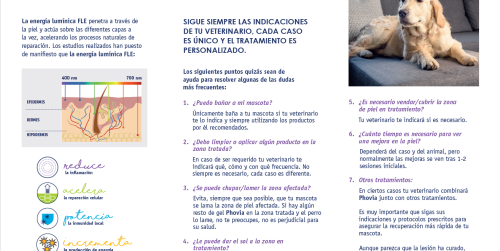 imagen triptico PO - P&R
