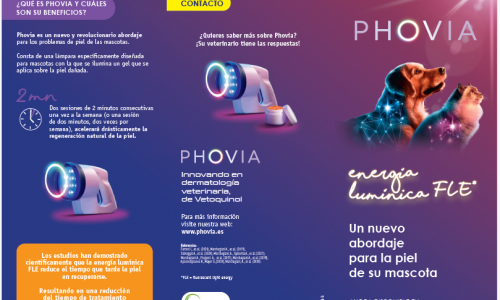 imagen triptico PO